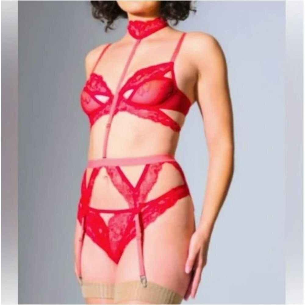 Thistle and Spire Kane Garter Belt‎ W/ Detachable Choker Chili Red/Pink M NWT